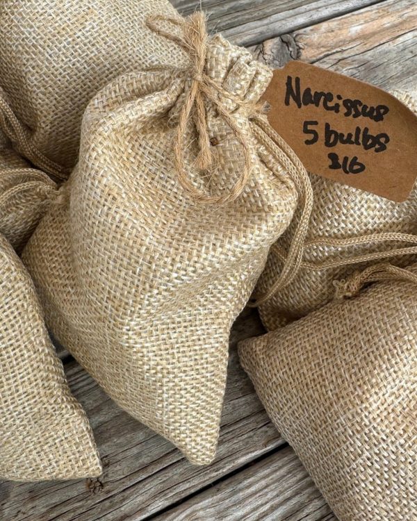 Narcissus Bulb Bags